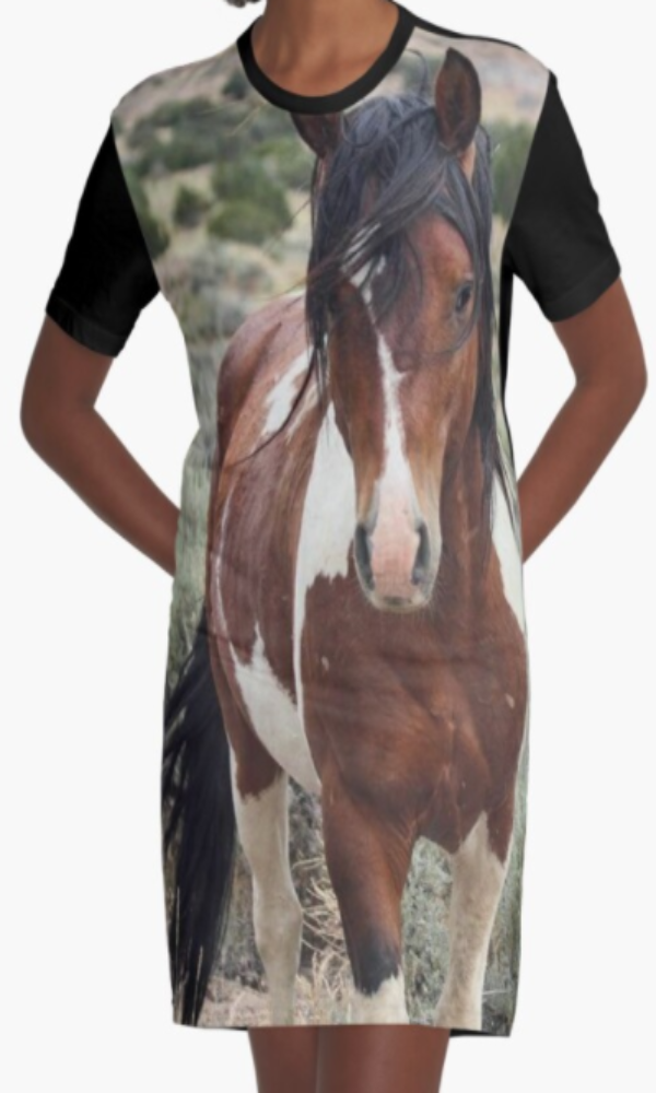 Cowgirl Kim Wild Stallion Graphic Tee Dress - Large Only