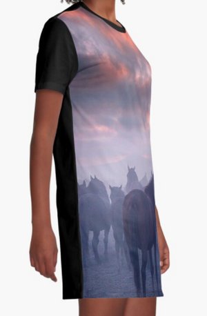 Cowgirl Kim Foggy Morning Tee Dress - Large Only